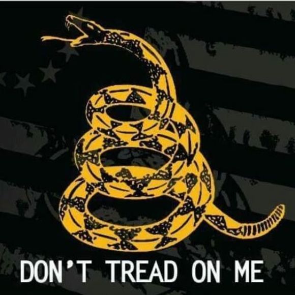 Meet your Posher, Jason - Picture 1 of 1